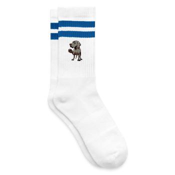Parlez aux Paw Weimaraner Weimaraner Lovers - Chaussettes de tennis - blanc/bleu - Droite