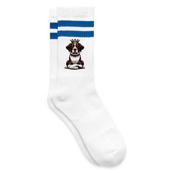 Münsterländer Münsterländer propriétaire Münsterhund - Chaussettes de tennis - blanc/bleu - Droite