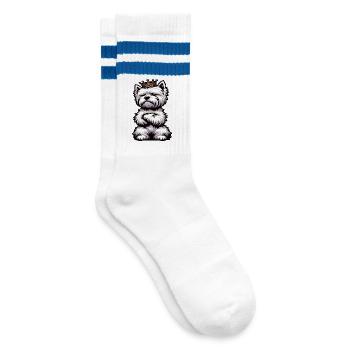 West highland terrier Westie West highland hund - Gestreifte Tennissocken - Weiß/Blau - Rechts
