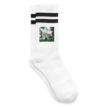 Look printemps de la Fleur d’Amandier 02 - Chaussettes de tennis - blanc/noir - Droite