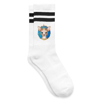 royal Chihuahua dog with golden crown - Striped tennis socks - white/black - Right