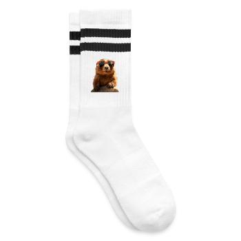 Marmot with sunglasses Rodent Ground Squirrel - Striped tennis socks - white/black - Right
