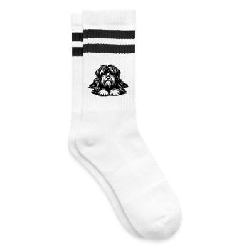 Tibetan Terrier - Striped tennis socks - white/black - Right