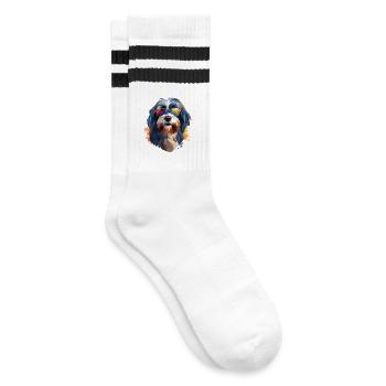 Tibetan Terrier with Sunglasses - Striped tennis socks - white/black - Right