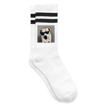 Chien avec des lunettes de soleil - Chaussettes de tennis - blanc/noir - Droite