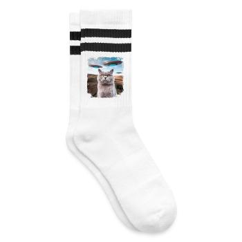 Funny British Shorthair Cat selfie with Alien UFOs - Striped tennis socks - white/black - Right