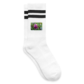 Dahlia Red Violet Blossom ,Flower - Striped tennis socks - white/black - Right