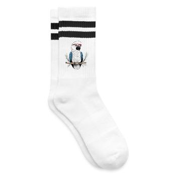 Parrot with glasses - Striped tennis socks - white/black - Right
