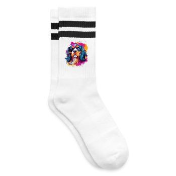 Cavalier King Charles Spaniel Dog - Striped tennis socks - white/black - Right