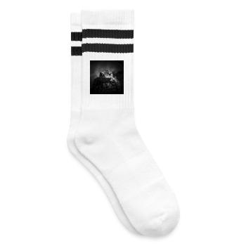 Frosch Amphibien Wirbeltiere Nahaufnahme Poster - Gestreifte Tennissocken - Weiß/Schwarz - Rechts