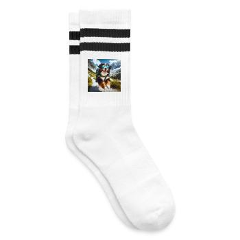 Berner Sennenhund - Gestreifte Tennissocken - Weiß/Schwarz - Rechts