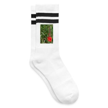 Gladiole – Stärke in Blüte - Gestreifte Tennissocken - Weiß/Schwarz - Rechts
