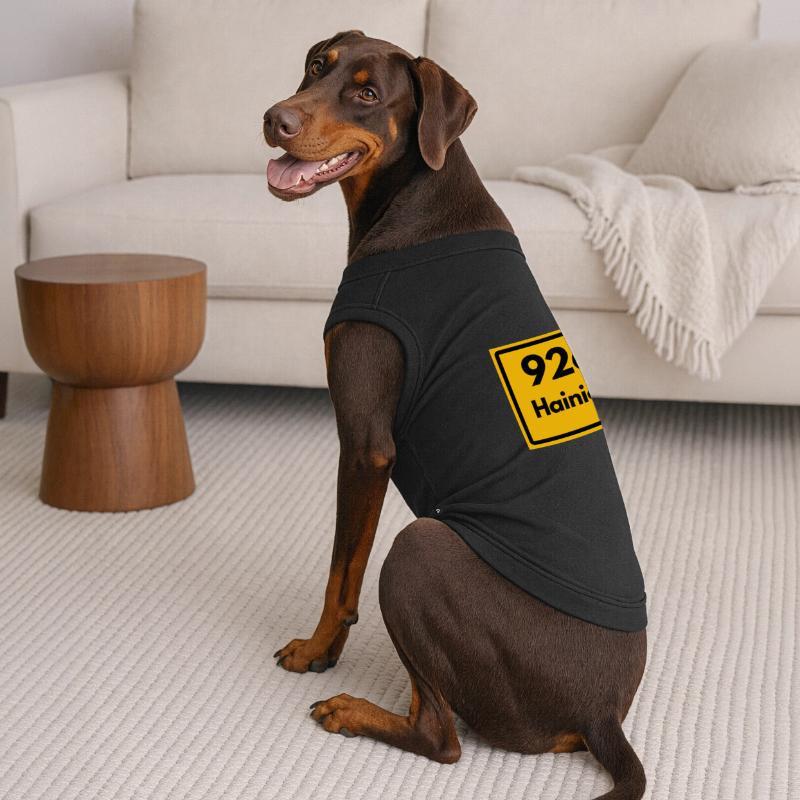 ANCIEN CODE POSTAL 9260 SAXE CODE POSTAL DE HAINICHEN T-shirt bio premium pour chien