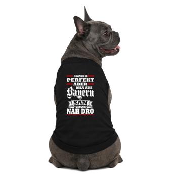 KOANER IS PERFEKT ABER MIA AUS BAYERN SAN VERDAMMT - Premium Organic Hunde-T-Shirt - Schwarz - Hinten