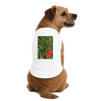 Gladiole – Stärke in Blüte - Premium Organic Hunde-T-Shirt - Weiß - Hinten