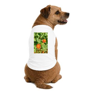Jardin fleuri – Atmosphère colorée - T-shirt bio premium pour chien - blanc - Dos