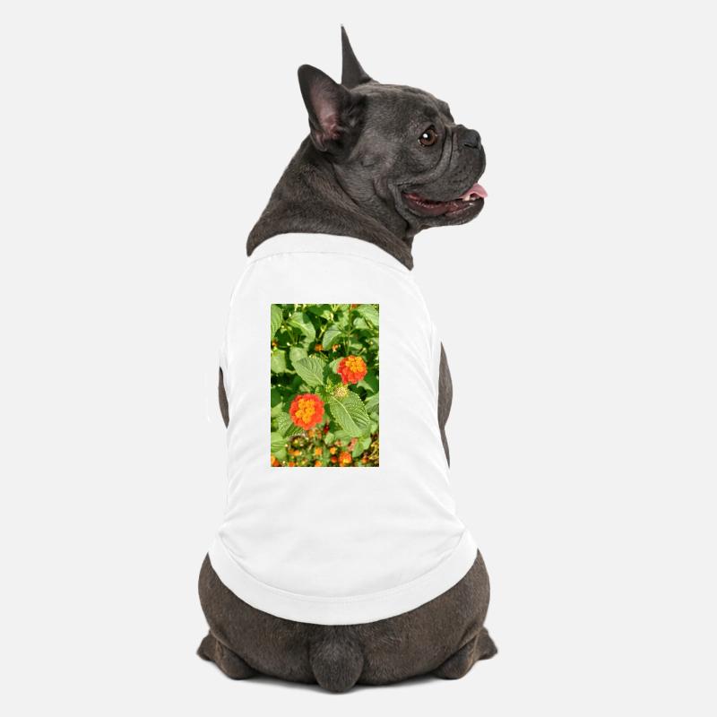 Jardin fleuri – Atmosphère colorée - T-shirt bio premium pour chien - blanc