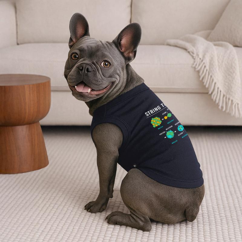 Quantum Physics Quantum Physics Quantum Leap Premium Organic Dog T-Shirt