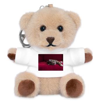 Cute tabby baby cat, lying, photography - Teddy Keyring - white - Front