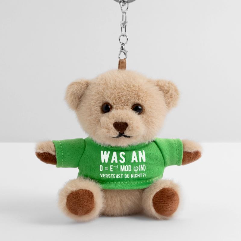 Computer Scientist Computer Science Student Programmer Teddy Keyring