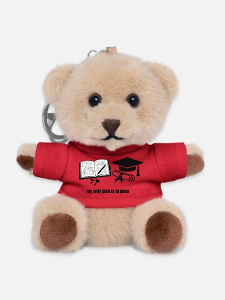 My Only Plan Is To Pass - Motivational Student Gra - Teddy Keyring - red