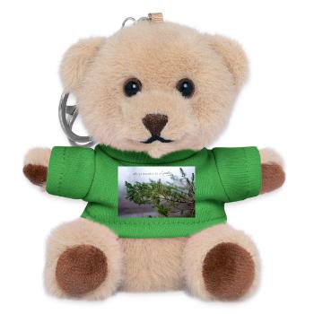 fabiolous world rainy season - Teddy Keyring - green - Front