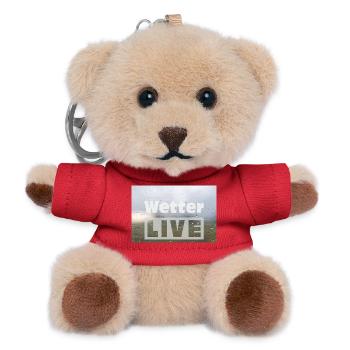 Wetter LIVE – Minimalistisches Regen Poster - Teddy Schlüsselanhänger - Rot - Vorne