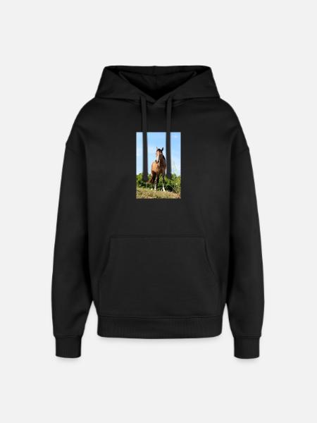 Affiche Cheval Cheval - Sweat à capuche unisexe Stanley/Stella Oversized - noir