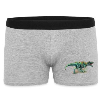 Dinosaurier - Männer Boxer Shorts - Grau meliert - Vorne