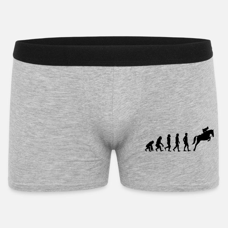 Évolution du cheval - Boxer Homme - gris chiné