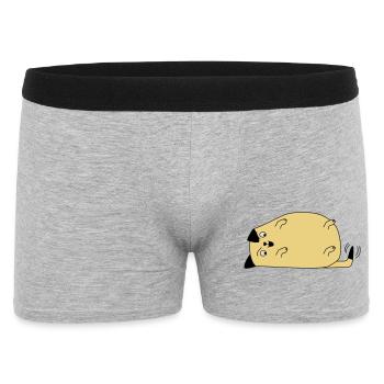 Chien regarde sa queue - Boxer Homme - gris chiné - Devant