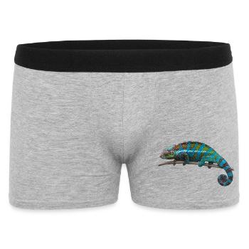 Caméléon - Boxer Homme - gris chiné - Devant