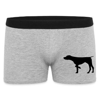 Chien de chasse allemand Shorthair - Boxer Homme - gris chiné - Devant