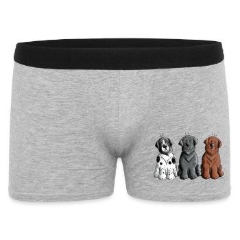 Three Newfoundland Dogs - Men's Boxer Shorts - heather grey - Front