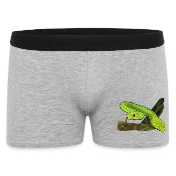 Serpent vert brillant dans la jungle - Boxer Homme - gris chiné - Devant