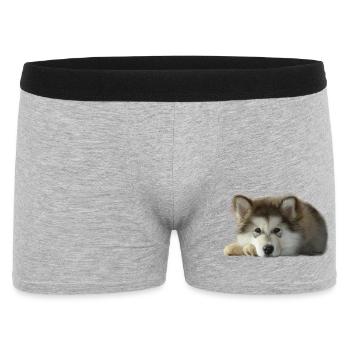 Maia Malamute Puppy - Men's Boxer Shorts - heather grey - Front