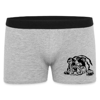 Bouledogue anglaise - Boxer Homme - gris chiné - Devant
