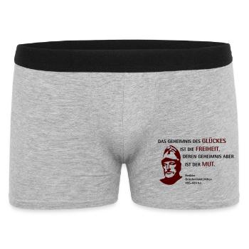 Perikles D - Männer Boxer Shorts - Grau meliert - Vorne