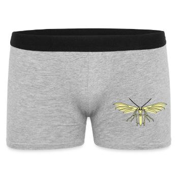 Teigne des plumes - Boxer Homme - gris chiné - Devant