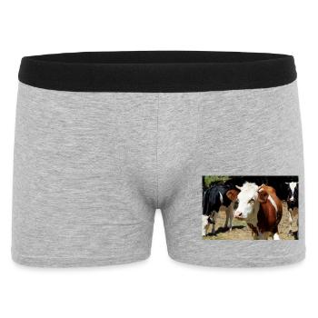Kuh Poster - Männer Boxer Shorts - Grau meliert - Vorne
