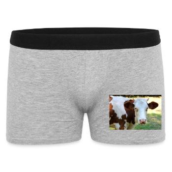 Kuh Poster - Männer Boxer Shorts - Grau meliert - Vorne