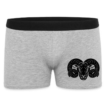 Signe du zodiaque image du signe Bélier - Boxer Homme - gris chiné - Devant