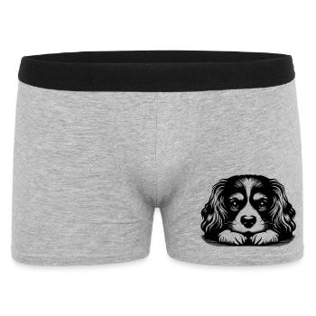 Cavalier King Charles Spaniel Kopf mit Pfoten - Männer Boxer Shorts - Grau meliert - Vorne