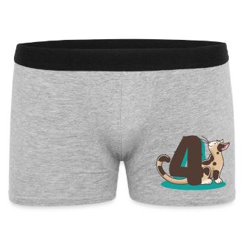 Chat numéro 4 - Boxer Homme - gris chiné - Devant