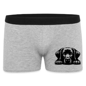 Labrador Kopf mit Pfoten - Männer Boxer Shorts - Grau meliert - Vorne