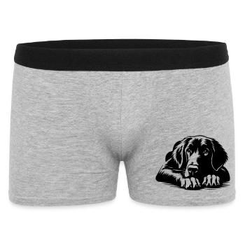 Retriever à poil plat - Boxer Homme - gris chiné - Devant