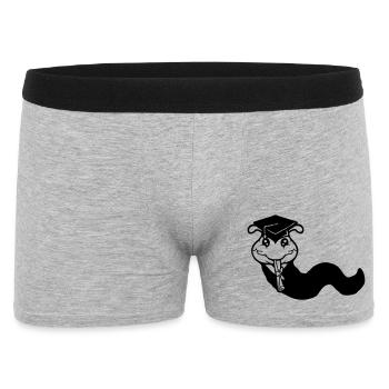 Raupe Schulabschluss Abitur bestanden College Wurm - Männer Boxer Shorts - Grau meliert - Vorne