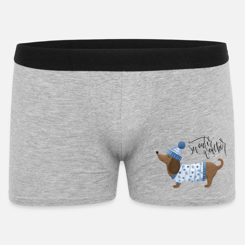 Teckel avec pull et chapeau Pull Météo bleu - Boxer Homme - gris chiné