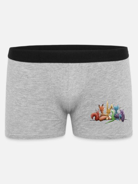 Regenbogen Tiere für Toleranz und Vielfalt - Männer Boxer Shorts - Grau meliert