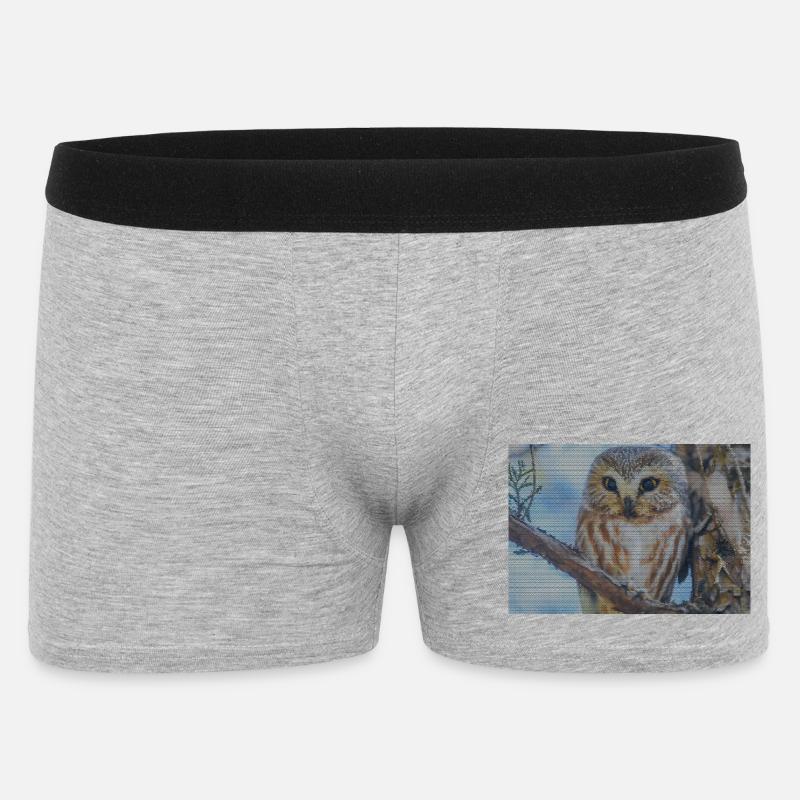 Abendwald Eulenblick - Männer Boxer Shorts - Grau meliert